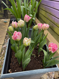 Screenshot 2026-04-05 at 16.54.30.png