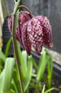 Screenshot 2026-04-05 at 16.54.44.png