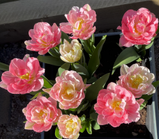 Screenshot 2026-04-14 at 17.15.30.png