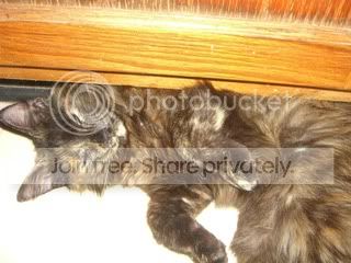 June2011358.jpg